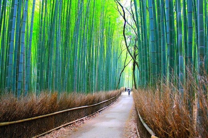 Private Walking Tour in Bamboo Forest & Hidden Spots in Arashiyama - The bamboo path, beautiful and plainly crowded