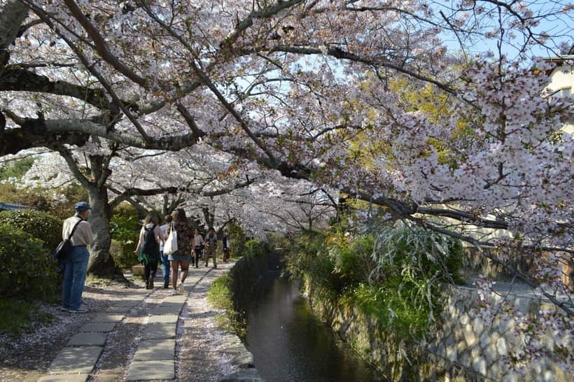 Sacred Pathways: Discover the Philosopher's Path of Kyoto - The Philosopher’s Path is about the spaces between temples