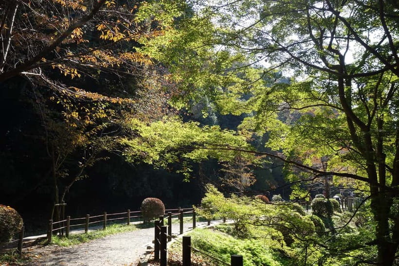 Sacred Pathways: Discover the Philosopher's Path of Kyoto - Is $64 a fair price?
