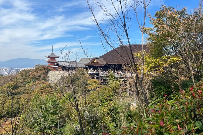 Sacred Treasure Fushimi Inari and Kiyomizu Dera Tour - The guide can make or break the morning