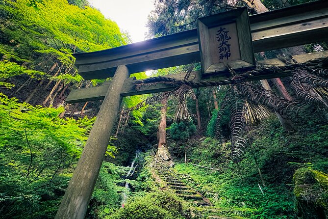Scenic Green Tea Fields of Hidden Kyoto & Local Tea Exp (Private) - Wazuka-cha Cafe: taste the tea where it is grown