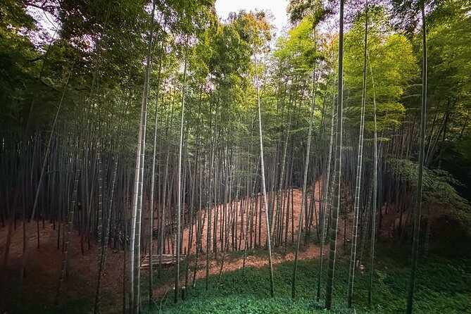 Scenic Green Tea Fields of Hidden Kyoto & Local Tea Exp (Private) - What the $250.38 price really buys you