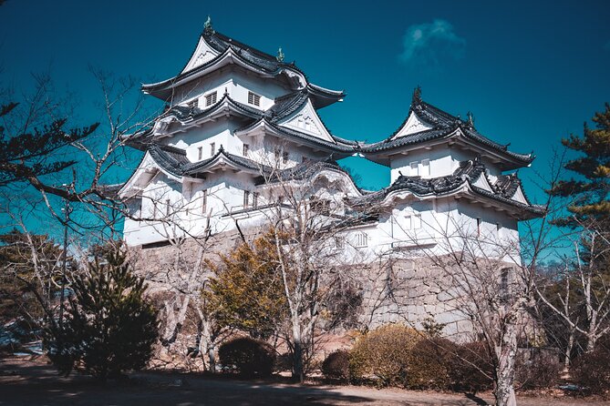 Secrets of Ninjas X Samurais: Private History Tour to Iga & Koka - Iga Ueno Castle and the samurai side of the story