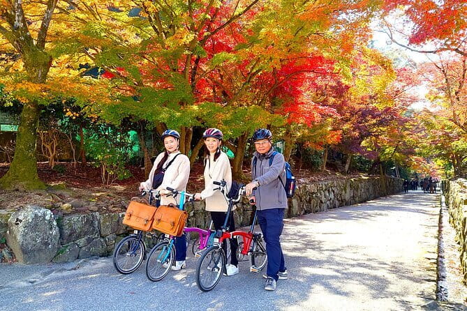 Slow Cycling Tour at Uji's Matcha Green Tea Fields and Heritage - Key details before you book