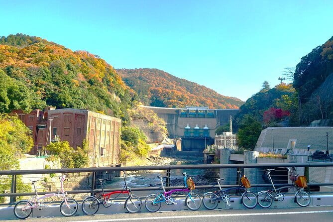 Slow Cycling Tour at Uji's Matcha Green Tea Fields and Heritage - Starting at Uji Station and meeting the navigator