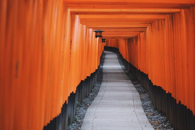 Tailored Full Day Private Experience of Kyoto for 1 Day Visitors - Nijo Castle and the Edo-period court