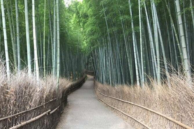 The Art of Geisha: Exclusive Show & Gion Walking Tour - Is $124.21 good value?