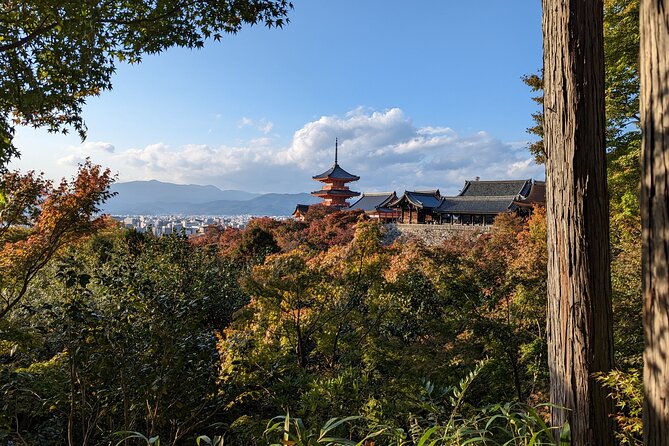 Tour in Kyoto with a Goverment Certified Tour Guide - A big Kyoto day, with a packed route