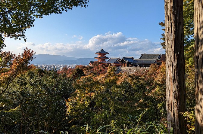 Tour in Kyoto with a Goverment Certified Tour Guide - Ginkaku-ji and a more restrained kind of beauty