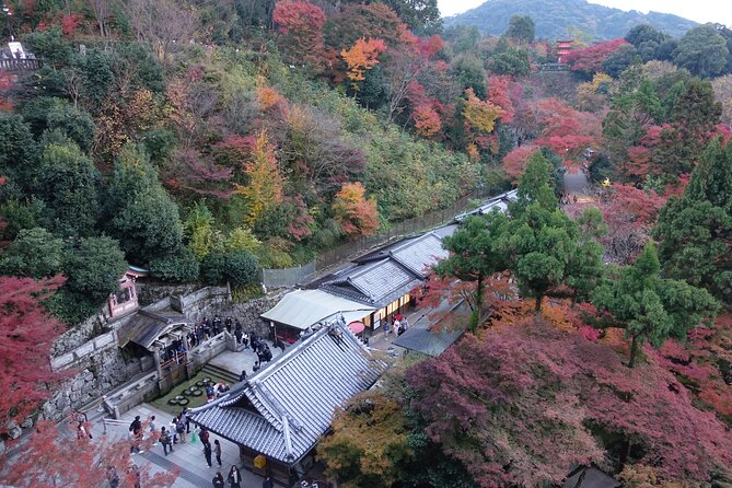 TREASURES of Kyoto: Fushimi Inari, Kiyomizu Temple, and more! - Included taxis make the short schedule work