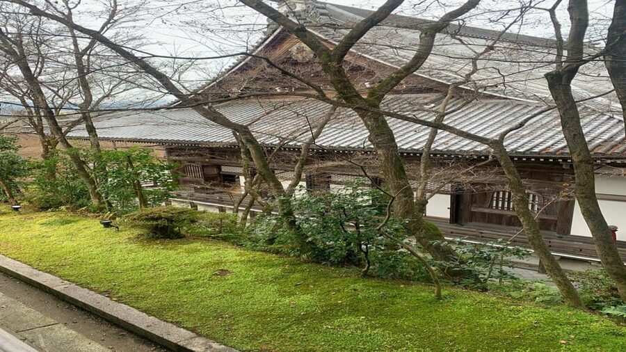 Treasures of Kyoto: Gion & historical Walking Tour - What the $44 price buys you