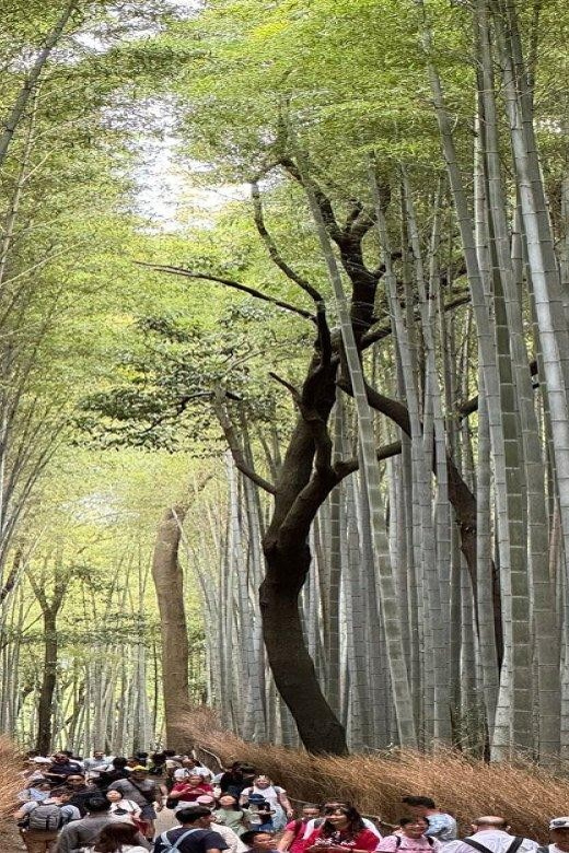 Treasures of Kyoto: Gion & historical Walking Tour - Izumo-no-Okuni and the performing arts connection