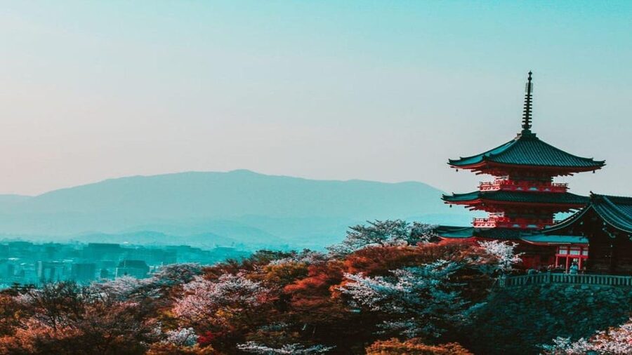 Treasures of Kyoto: Gion & historical Walking Tour - Shijo-dori and Minami-za