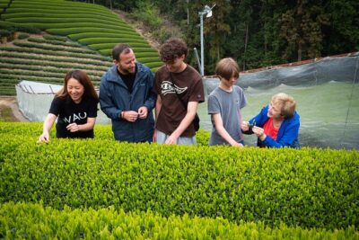 Uji and Wazuka Matcha Farm Half Day Private Guided Tour