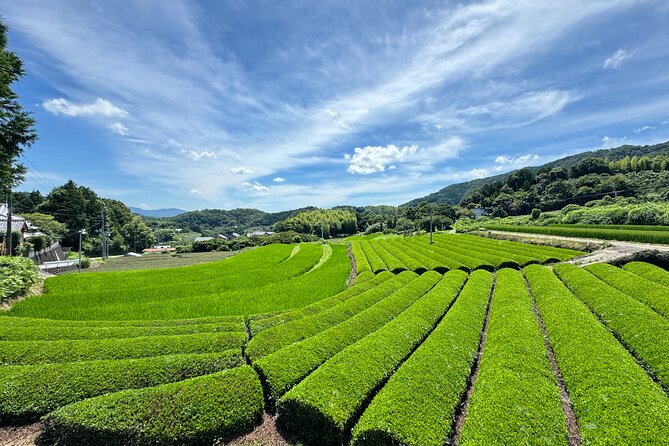 Uji and Wazuka Matcha Farm Half Day Private Guided Tour - Who will get the most from this tour