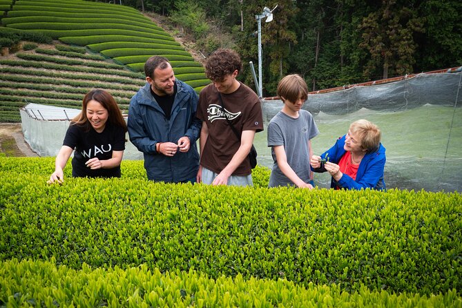 Uji and Wazuka Matcha Farm Half Day Private Guided Tour - Uji Shrine and historic Ujibashi Bridge