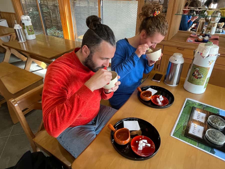 Uji: Green Tea Tour with Byodoin and Koshoji Temple Visits - Tasting Gyokuro and eating the tea leaves