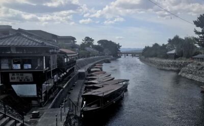 Green Tea Tour with Byodoin and Koshoji Temple Visits