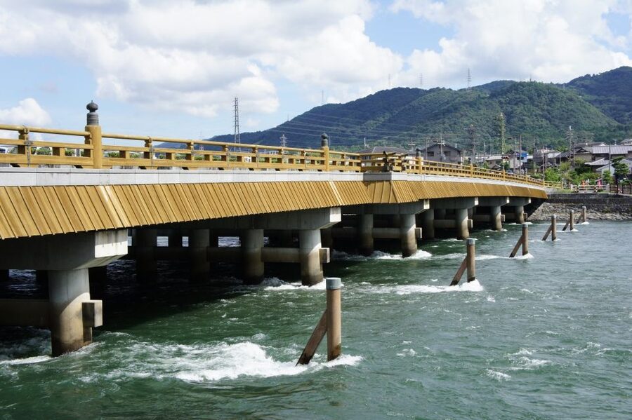 Uji: Green Tea Tour with Byodoin and Koshoji Temple Visits - Ujigami Shrine, spring water, and a quieter side of Uji